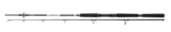Daiwa 23 BG Deep Sea Bootsrute 2,20m 150-300g