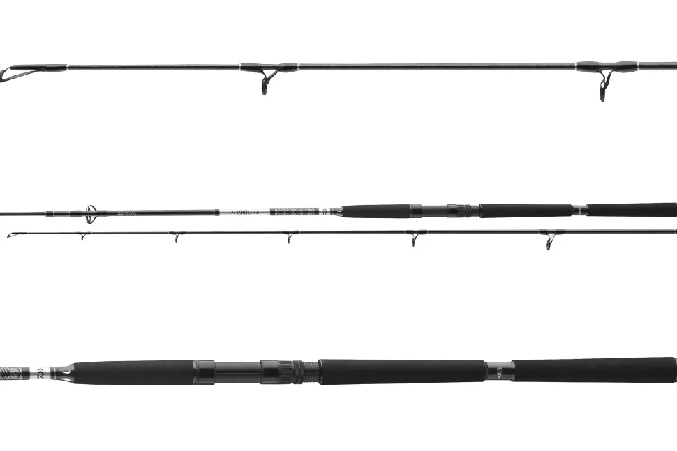 Daiwa 23 BG Offshore Pilk 3,00m 50-165g