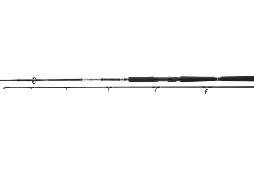 Daiwa 23 BG Offshore Pilk 3,00m 50-165g