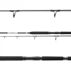 Daiwa 23 BG Popper 2,30m 40-150g