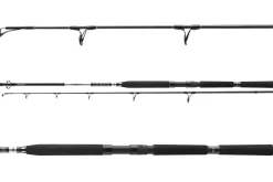 Daiwa 23 BG Popper 2,30m 40-150g
