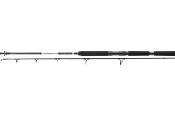 Daiwa 23 BG Popper 2,30m 40-150g