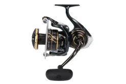 Daiwa 23 Caldia SW 8000-H