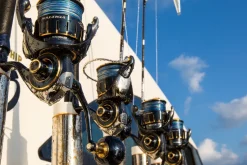 Daiwa 23 Saltiga G 6000 XH