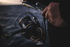 Daiwa 20 Saltiga (G) 10000-H
