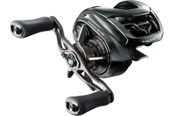 Daiwa 24 Steez SV TW 100HL