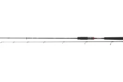 Daiwa Ballistic X Spin 2,70m 30-70g