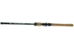 Daiwa Exceler Tradaditional Spin 2,40m 10-40g