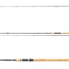 Daiwa Exceler Tradaditional Spin 3,15m 15-40g