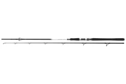 Daiwa Grandwave Cod 2,40m 150-300g