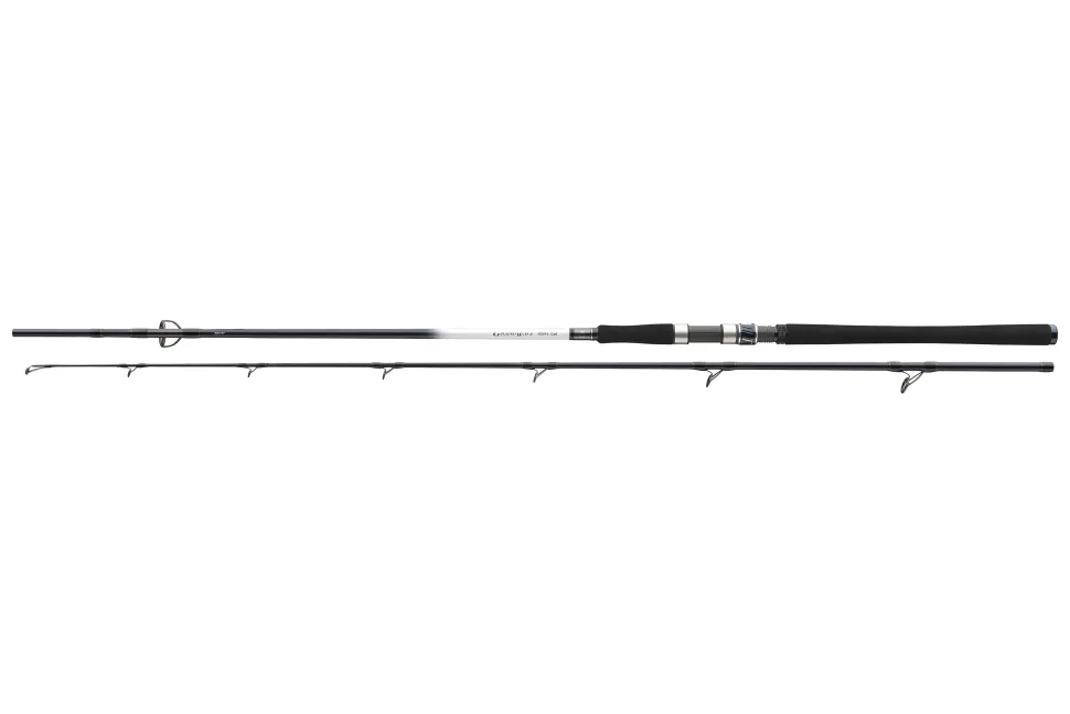 Daiwa Grandwave Cod 2,40m 150-300g