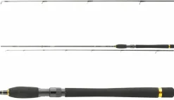 Daiwa Legalis Spin 3,05m 10-40g