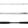 Daiwa Prorex X Spin 2,40m 40-100g