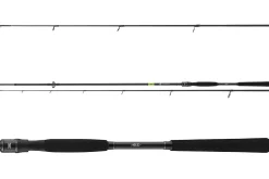 Daiwa Prorex X Spin 2,40m 40-100g