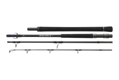 Daiwa Saltiga Stick'n Pop 8,3' 2,50m 80-125g
