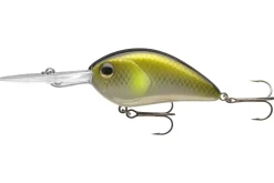 Daiwa Steez Crank 300F DR 6,1cm Monster Chart