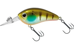 Daiwa Steez Crank 100F SR 5,4cm Monster Gill