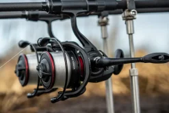 Daiwa Whisker 25QD Big Pit