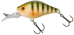 Gunki Gigan 39 F Wild Perch