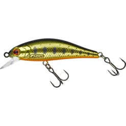 Gunki Rodan 59 SHW Acid Trout Gold