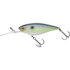 Jackall Flat DD Squirrel 79 SP Aurora Bleak