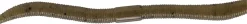 Jackall Flick Shake 4,8