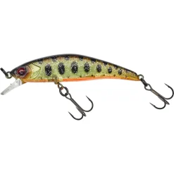 Jackall Tricoroll Knocker 53 SHW Chart Back Yamame