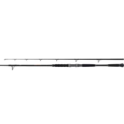 Shimano Beastmaster Catfish 220cm 120g 2pc