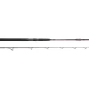 Spro Salty Beast Solidz 2,4m 0-250g