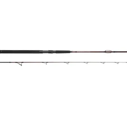 Spro Salty Beast Solidz 1,9m 0-250g