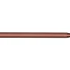 Spro Trout Master Stainless Steel Spike Bankstick 55-90cm