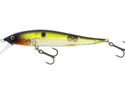 Westin Jerkbite SR Jerkbait SP 7,5cm Headlight