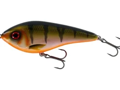 Westin Swim S 8cm Official Roach