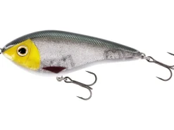 Westin Swim S 8cm Official Roach