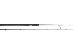 Westin W2 Powercast 2,48m 40-130g