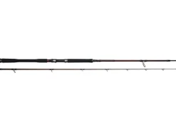 Westin W4 Powercast 2nd XH 2,40m 60-180g