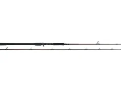Westin W4 Powercast-T 2nd XXH 2,55m 40-130g