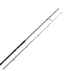 Zeck Big Stick 2,5m 40-150g