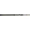 Zeck Troy 2,4m 30-80g