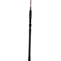 Zeck Troy 2,4m 35-100g